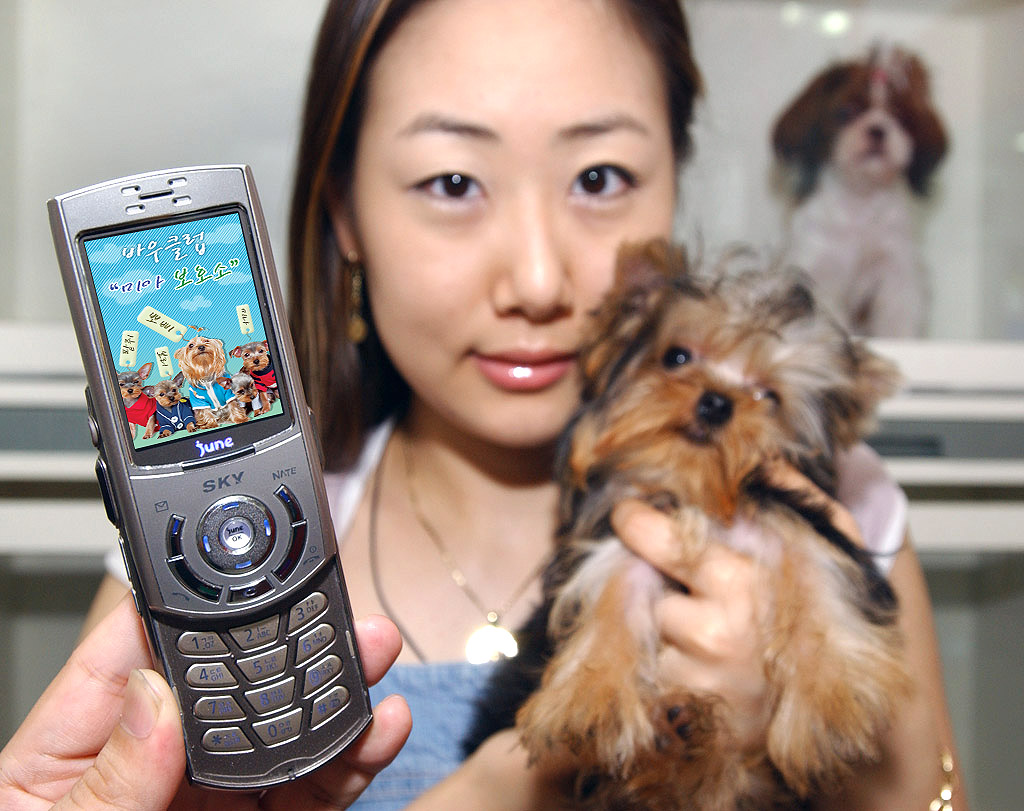 A person is shown searching for a suitable puppy by accessing the information on abandoned pets through wireless Internet NATE. SK Telecom carries out the `Abandoned Pet Adoption Campaign`. Through this campaign, people can make inquiries about, and see photos of abandoned dogs, and then have a consultation for an adoption by pressing the `**882+Call` button and connecting to the wireless Internet NATE Service)